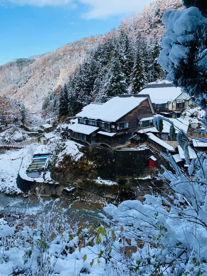 Tokyo/Nagano: private Tour with Snow Monkey Park & Temples - Jigokudani Snow Monkey Park: A Wildlife Stop With Some Walking