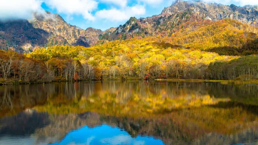 Tokyo/Nagano: private Tour with Snow Monkey Park & Temples - What the $412 Group Price Really Buys You