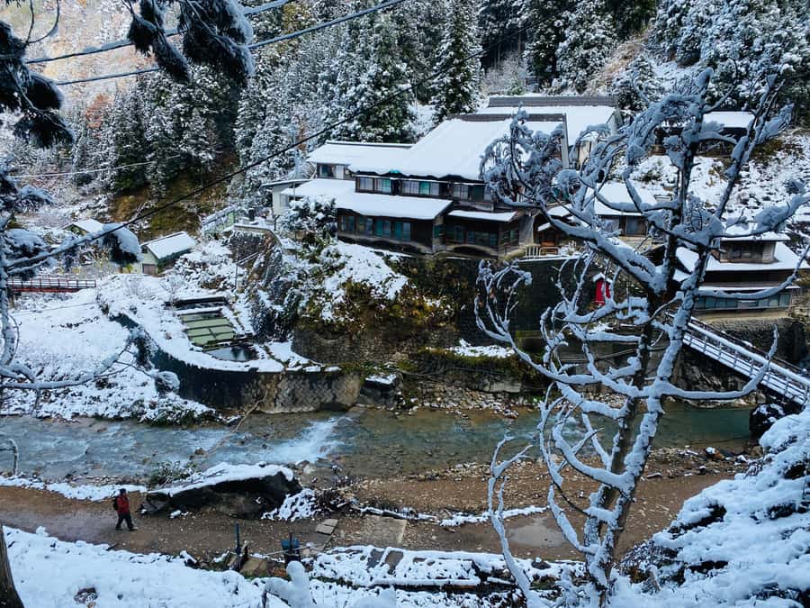 Tokyo/Nagano: private Tour with Snow Monkey Park & Temples - The Private SUV Changes the Tokyo to Nagano Equation