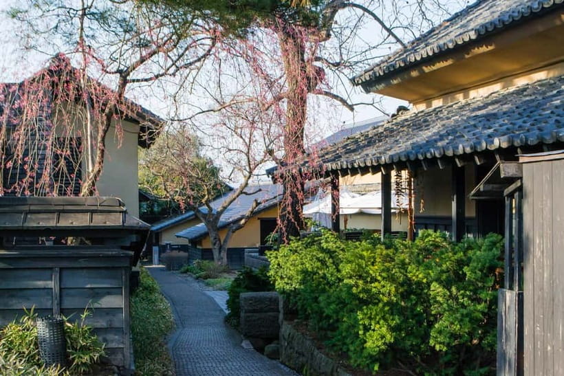 Tokyo: Nagano Snow Monkeys and Zenkoji Tour with Temples - The Tokyo to Nagano calculation