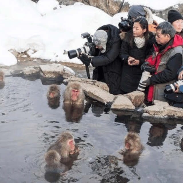 Tokyo: Nagano Snow Monkeys and Zenkoji Tour with Temples - A private vehicle changes the Nagano day