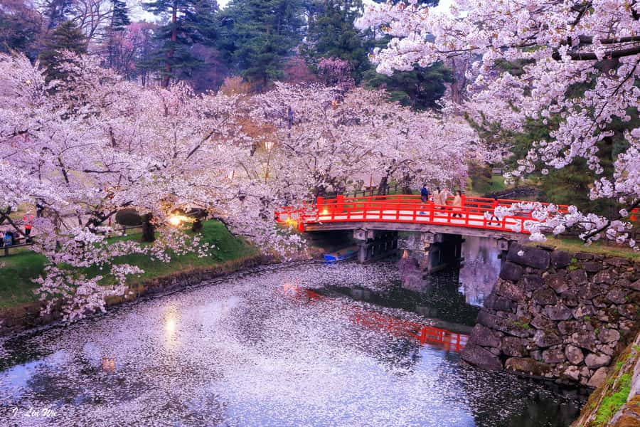 Tokyo: Nikko Day Tour Shrines, Lake Chūzenji & Kegon Falls - The long road from Tokyo to Nikko