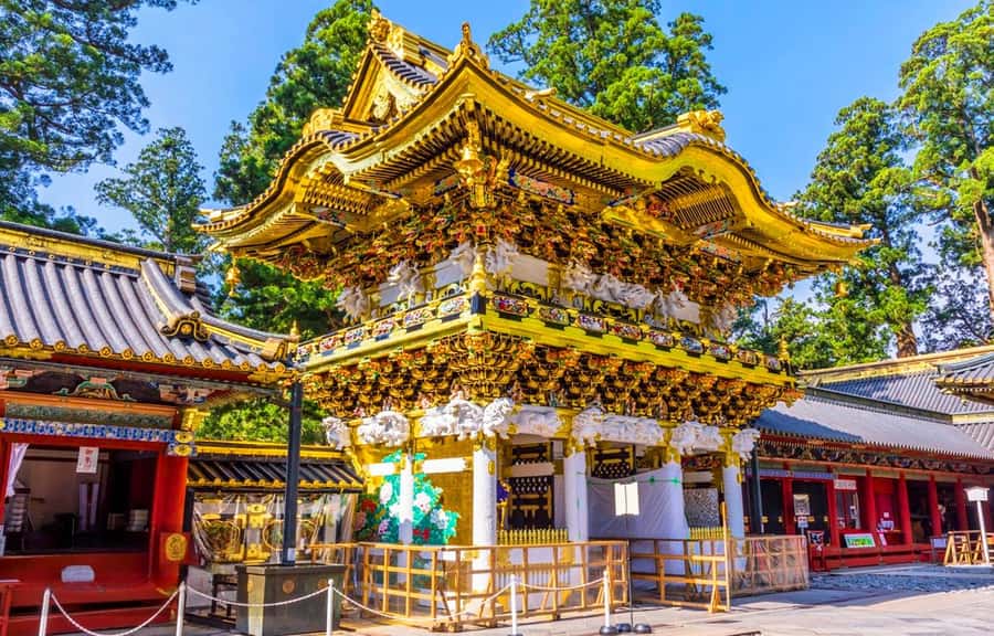 Tokyo: Nikko Day Tour Shrines, Lake Chūzenji & Kegon Falls - What the drivers add to the experience