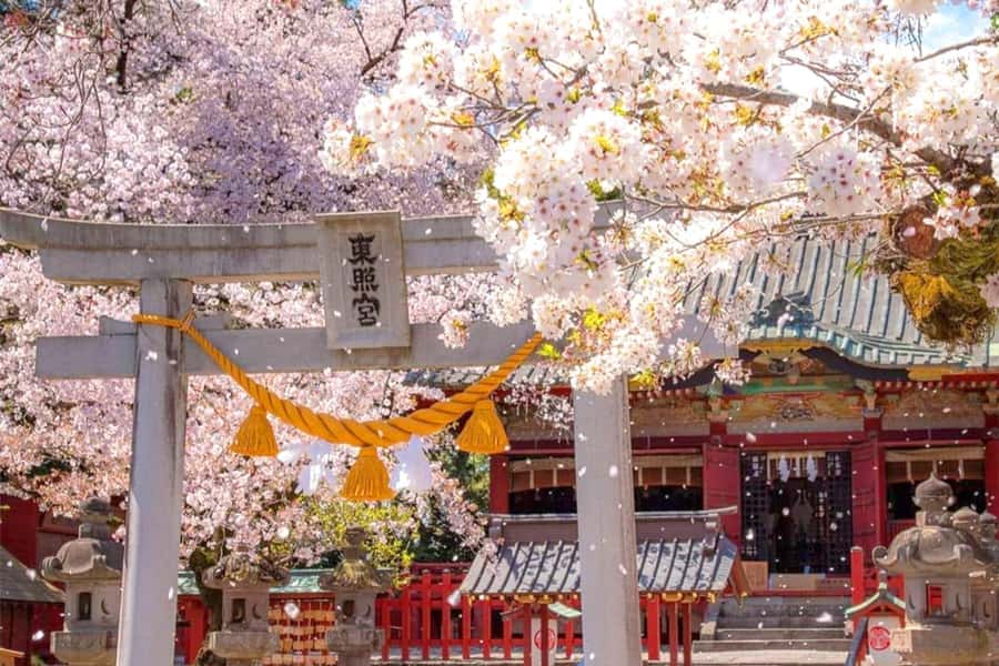 Tokyo: Nikko Day Tour Shrines, Lake Chūzenji & Kegon Falls - Shinkyo Bridge and Nikko’s sacred entrance