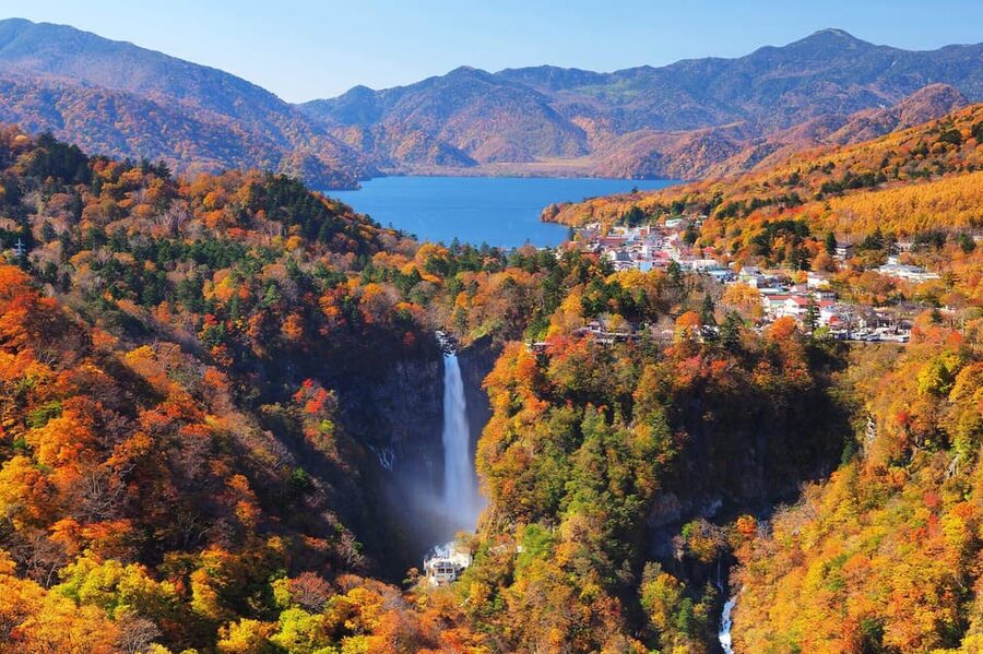 Tokyo: Nikko Day Tour with English Driver and Flexible … - Toshogu Shrine rewards a slower look