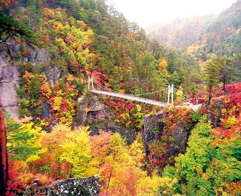 Tokyo: Nikko Day Tour with English Driver and Flexible … - Optional Edo Wonderland is a separate decision
