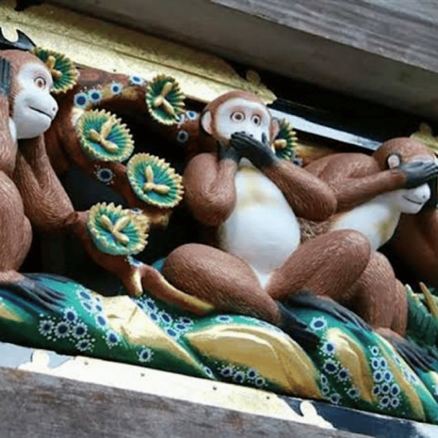 Tokyo → Nikko:Private Customizable Day Trip (English Driver) - Drivers make the difference