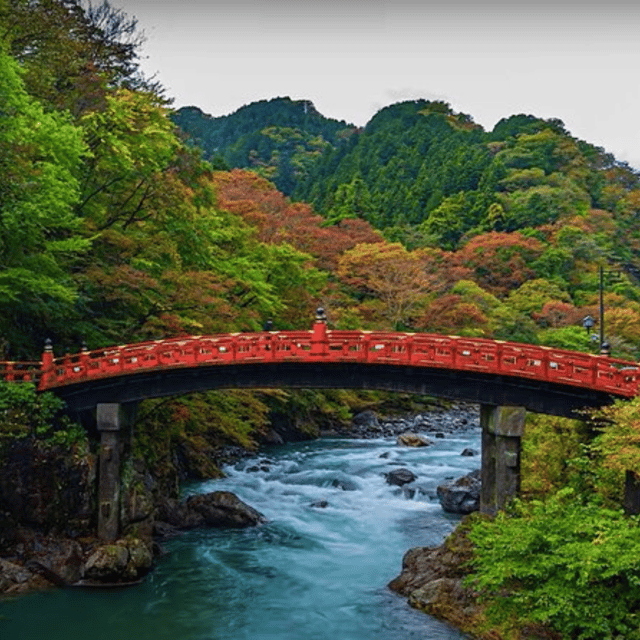 Tokyo → Nikko:Private Customizable Day Trip (English Driver) - Nikko town and the wider Tochigi region