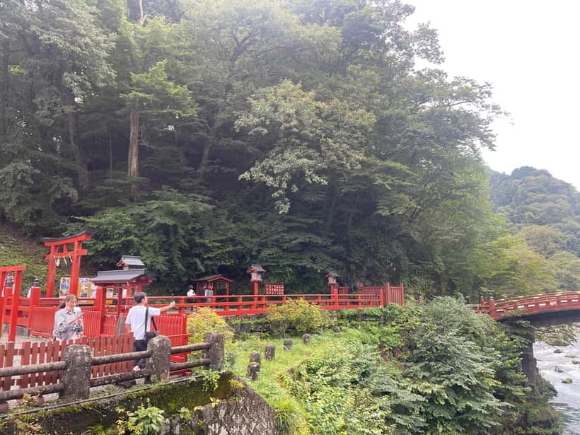 Tokyo: Nikko Private Customize Tour English Driver & Guide - Key points to know before booking