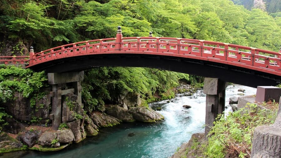 Tokyo: Nikko Private Day Tour With Guide - Key points to know before booking