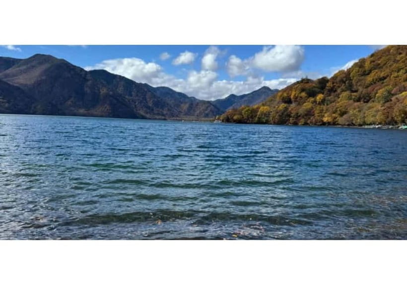 Tokyo: Nikko World Heritage Private Day Trip Hotel Pick-up - Toshogu Shrine: Nikko’s grandest cultural stop
