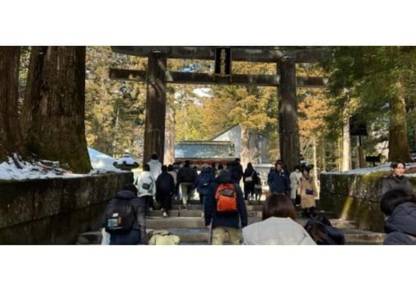 Tokyo: Nikko World Heritage Private Day Trip Hotel Pick-up - The ride from Tokyo: comfort with a long commute