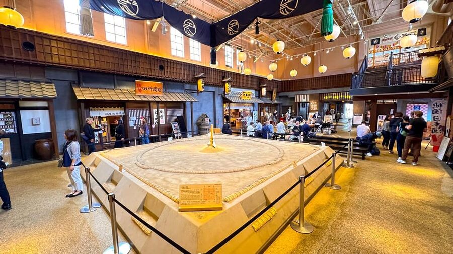 Tokyo: Not a show- a professional sumo practice with experts - How to make the most of the morning