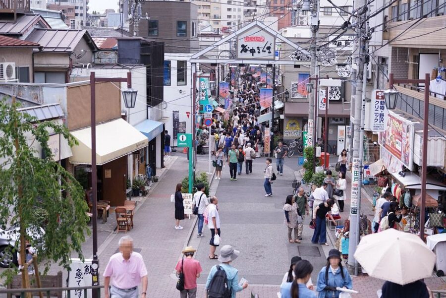 Tokyo: Off the Beaten Path Private Guided Tour - Yanaka Ginza and the feel of old Tokyo