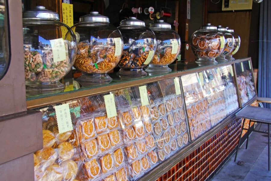 Tokyo: Off the Beaten Path Private Guided Tour - Fukagawa Edo Museum and other possible stops