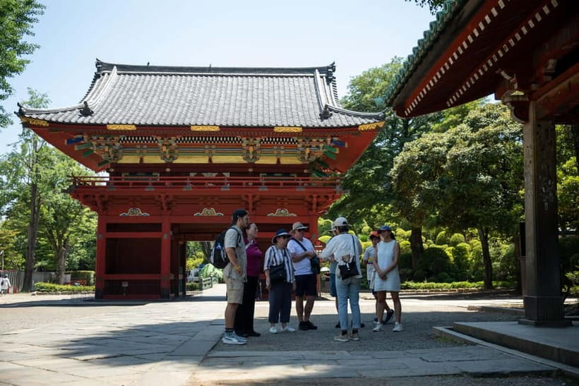 Tokyo: Old Quarter Yanaka Walking Tour - The Himalayan cedar and a memorable tree stop