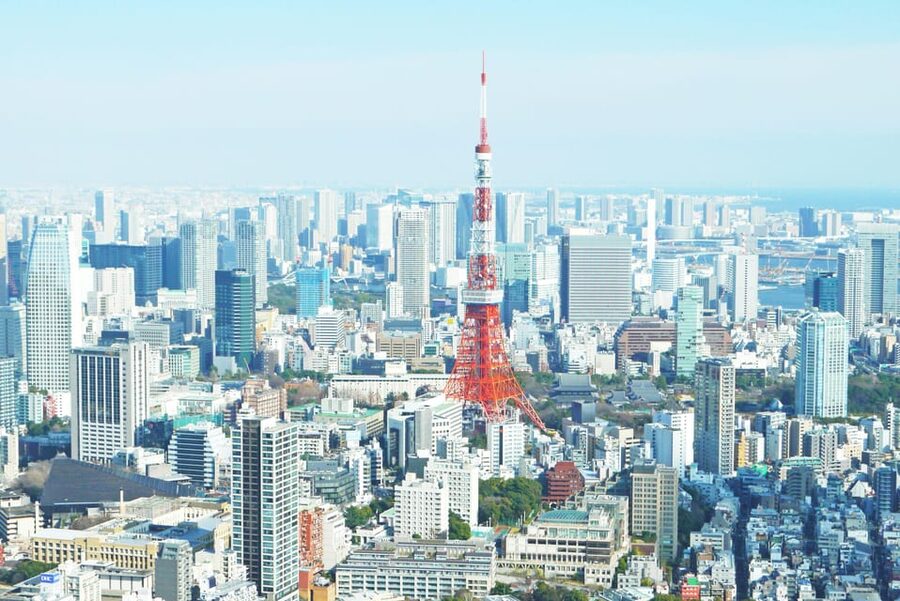 Tokyo: Personalized Private 6-Hour Tour - Shibuya in a short, energetic stop