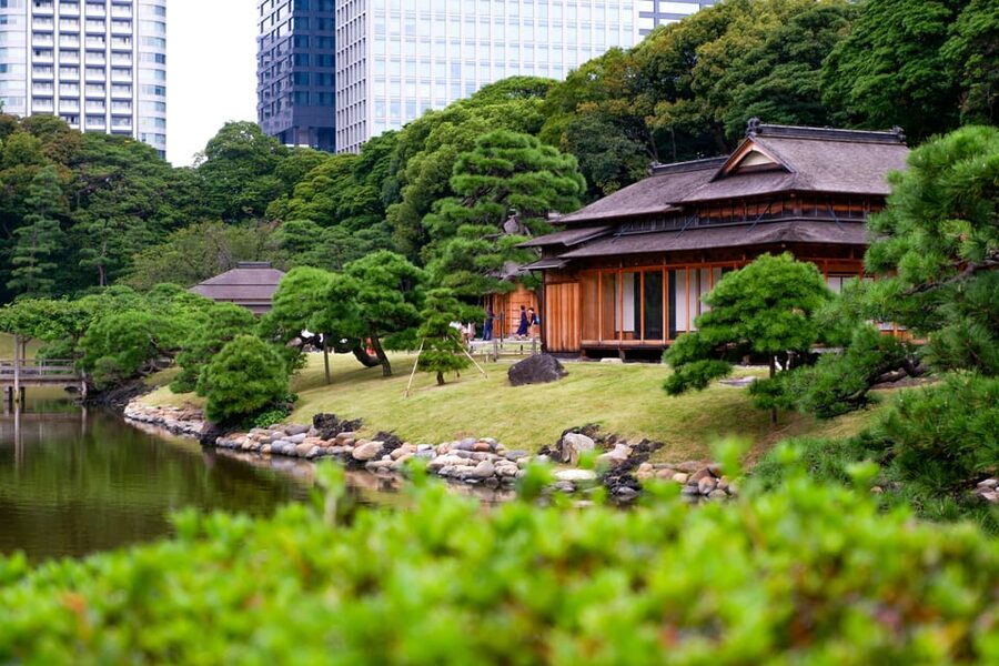Tokyo: Personalized Private 6-Hour Tour - Starting at Meiji Shrine and Harajuku