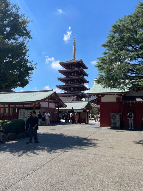 Tokyo: Private City Highlights Tour - Meiji Shrine and the calm side of Harajuku