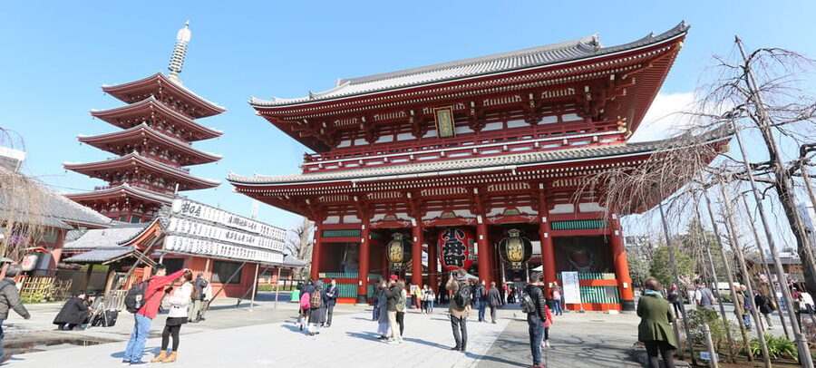 Tokyo: Private City Highlights Tour with Local Guide - Meiji Jingu, Harajuku, and the contrast that defines Tokyo