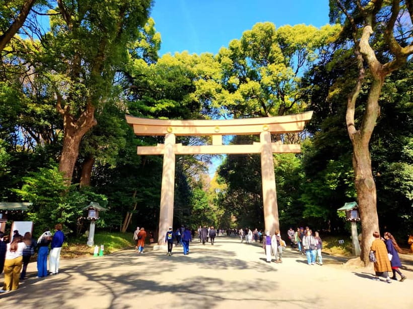 Tokyo: Private & Customizable Tour - All-in-One Experience - Food stops, markets, and advice you can use later