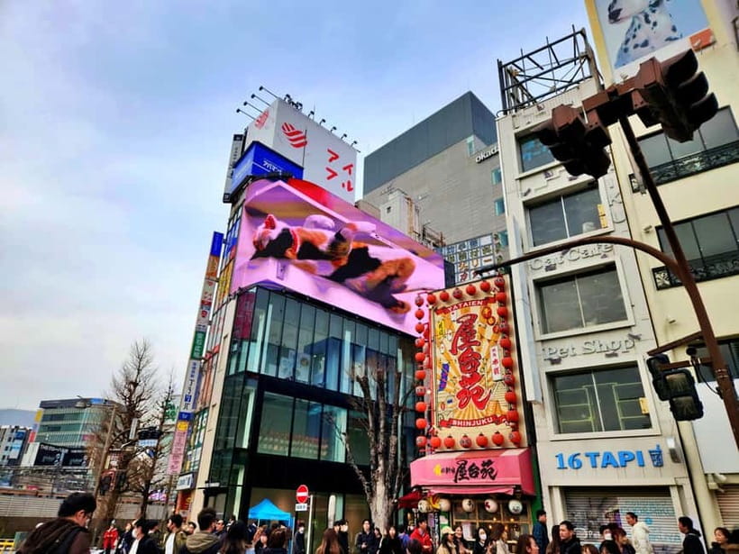 Tokyo: Private & Customizable Tour - All-in-One Experience - Kamakura is possible, but confirm the plan