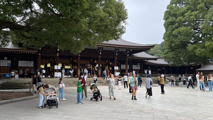 Tokyo: Private Customizable Tour with a Local Guide - Tsukiji Outer Market for food and a lively start