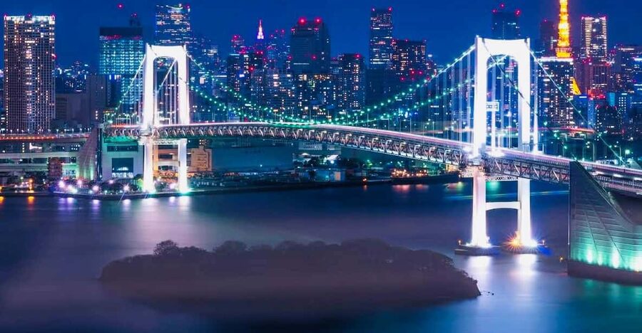 Tokyo Private Day Trip With English Speaking Driver - A private car is useful in a city this spread out