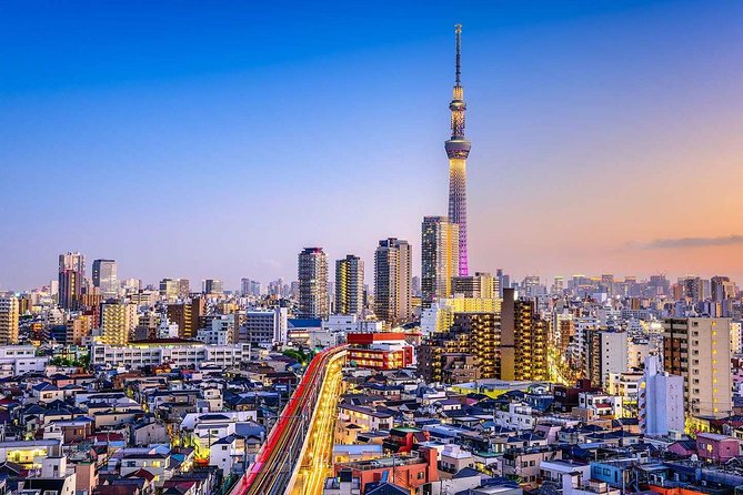 Tokyo Private Full-Day Tour by Car or Van - What this private Tokyo day is really designed to do