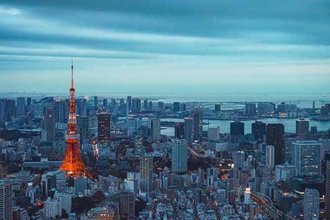Tokyo Private Full-Day Tour by Car or Van - Odaiba and Tokyo Bay if the clock allows
