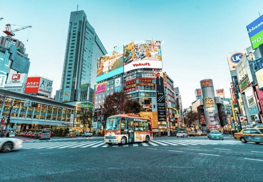 Tokyo: Private Guided Tour with Hotel Pickup and Drop-off - Why a private car helps in Tokyo