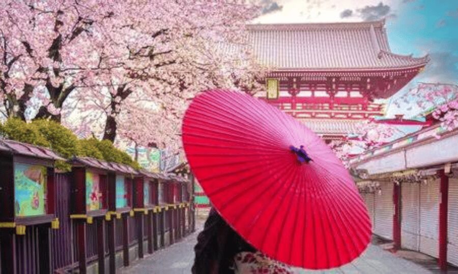 Tokyo: Private Guided Tour with Hotel Pickup and Drop-off - Starting at Tsukiji Outer Market