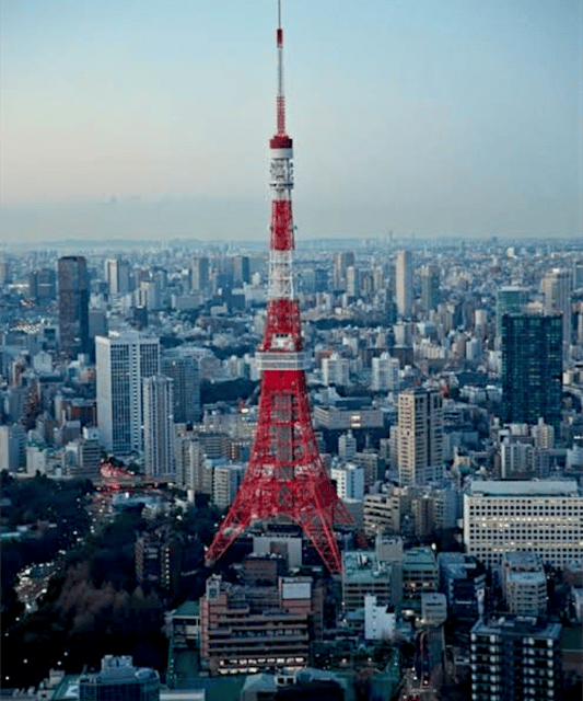 Tokyo: Private Guided Tour with Hotel Pickup and Drop-off - Meiji Shrine and Harajuku in one neighborhood