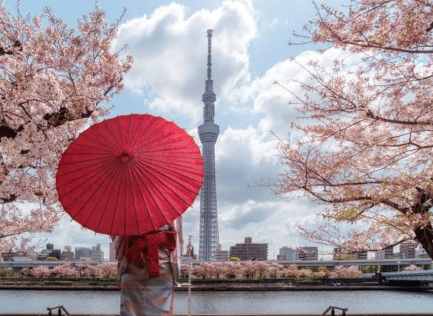 Tokyo: Private Guided Tour with Hotel Pickup and Drop-off - Shibuya, crossing included