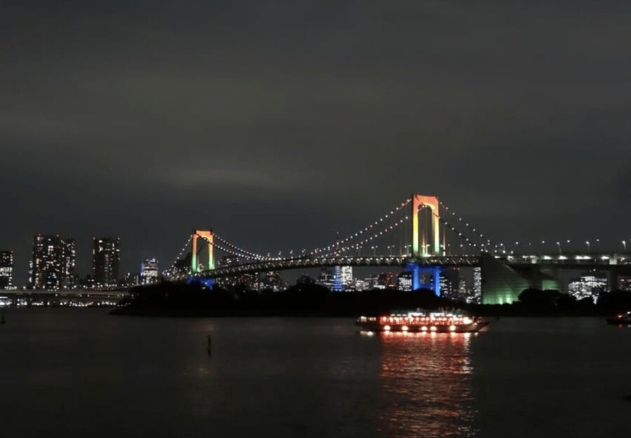 Tokyo: Private Guided Tour with Hotel Pickup and Drop-off - The Imperial Palace and the limits of a car tour