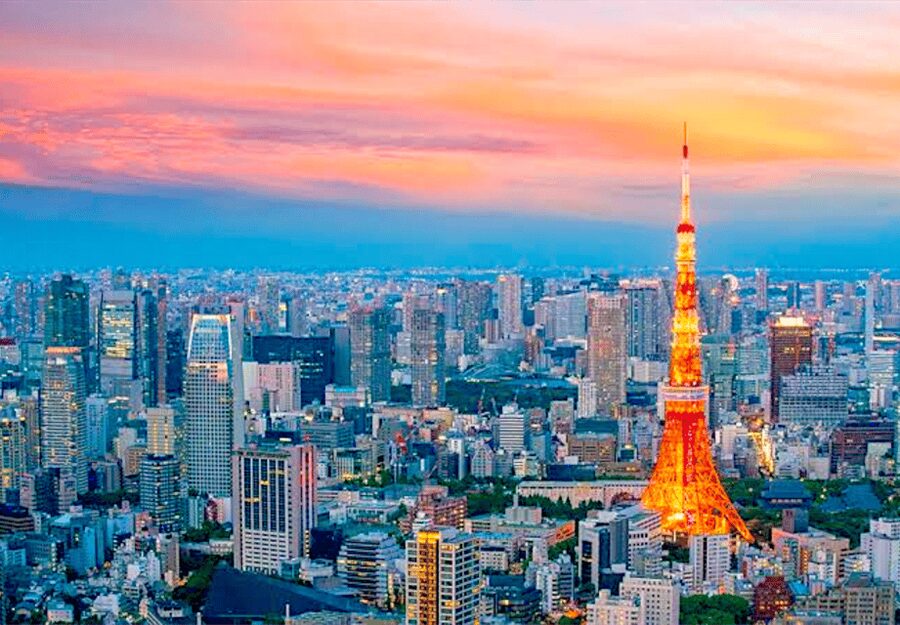 Tokyo: Private Guided Tour with Hotel Pickup and Drop-off - Odaiba and the modern side of Tokyo