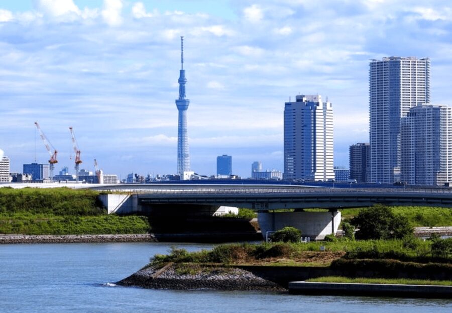 Tokyo: Private Guided Tour with Hotel Pickup and Drop-off - One day, many stops, and the risk of overloading it