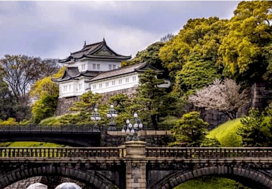 Tokyo: Private Guided Tour with Hotel Pickup and Drop-off - Senso-ji and the streets of Asakusa