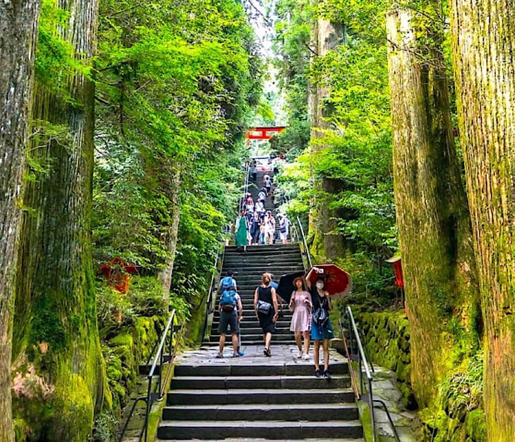 Tokyo: Private Mount Fuji and Hakone Day Trip with Guide - Why a private van makes Mt. Fuji easier