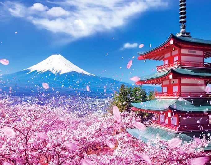 Tokyo: Private Mount Fuji and Hakone Day Trip with Guide - Mt. Fuji 5th Station: the main event