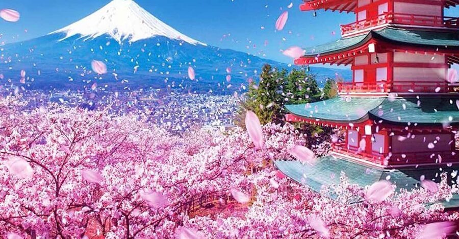 Tokyo: Private Mount Fuji and Hakone Day Trip with Guide - Lake Kawaguchi, Kachi Kachi, and Oishi Park