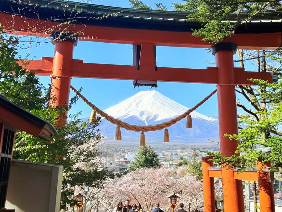 Tokyo: Private Mount Fuji Tour with Pickup and Drop-Off - Key points before you book
