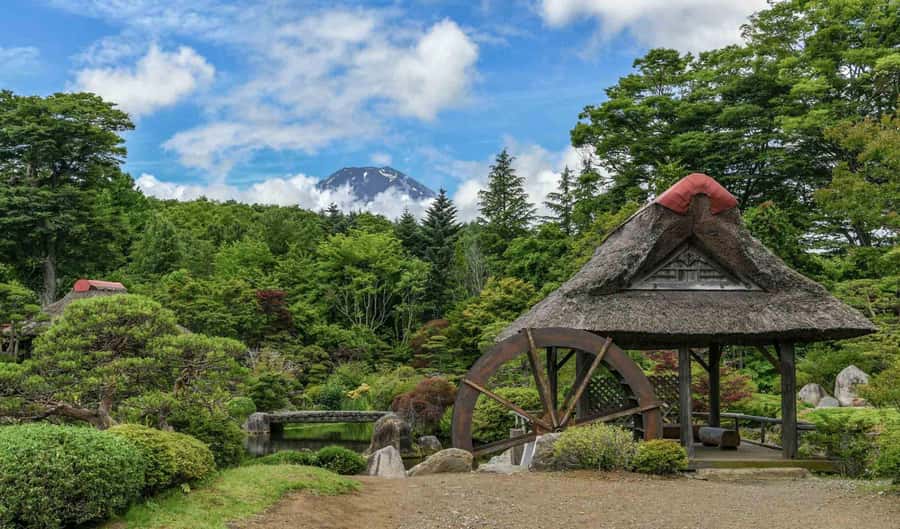 Tokyo: Private Mount Fuji Tour with Pickup and Drop-Off - The guides are a major part of the experience