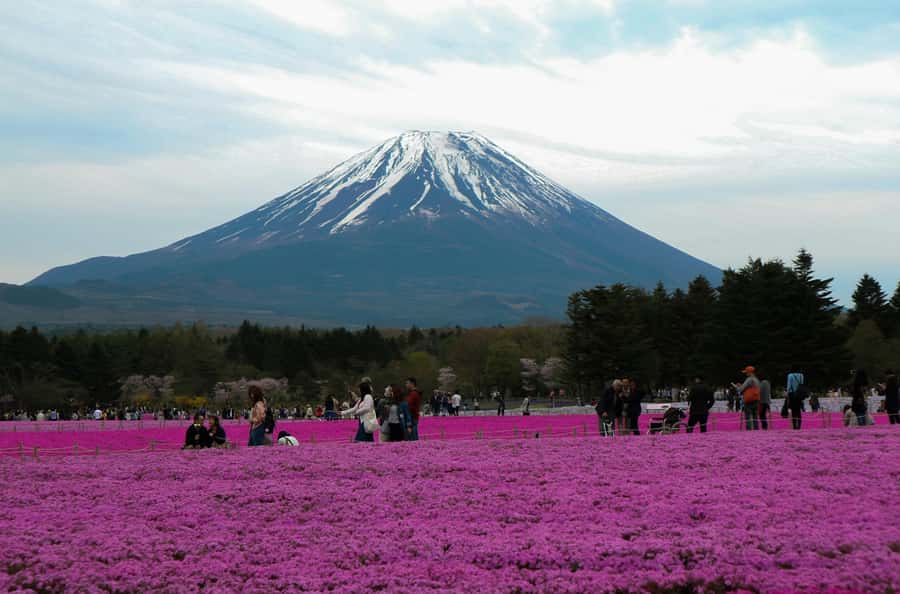 Tokyo: Private Mount Fuji Tour with Pickup and Drop-Off - The drive from Tokyo and the value of hotel pickup