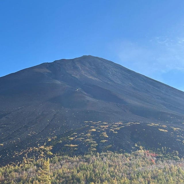 Tokyo: Private Mt. Fuji Luxury Day Tour – Fully Customizable - What the strongest service details mean for you