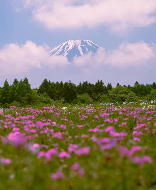 Tokyo: Private Mt. Fuji Luxury Day Tour – Fully Customizable - Chureito Pagoda and Arakurayama Sengen Park