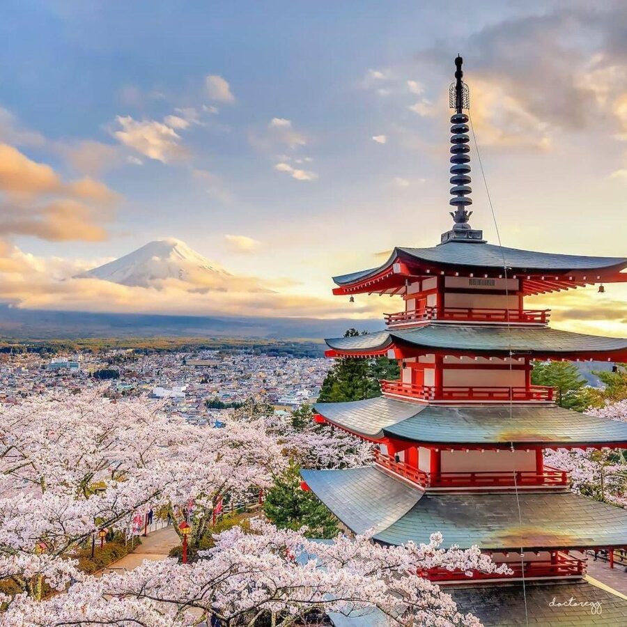Tokyo: Private Mt. Fuji Luxury Day Tour – Fully Customizable - Mt. Fuji 5th Station and the mountain itself