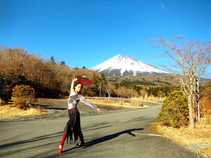 Tokyo: Private Mt. Fuji Luxury Day Tour – Fully Customizable - The ride from Tokyo to Fuji country