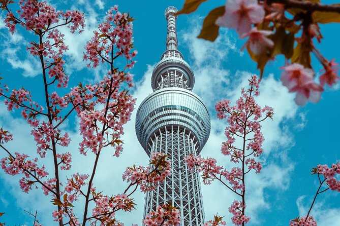 Tokyo Private Sightseeing Tour by Car- English speaking chauffeur - Skytree and Tokyo Tower offer two different city views