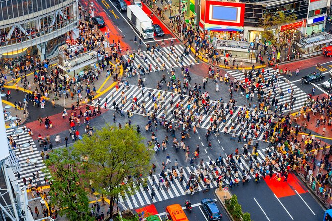 Tokyo Private Sightseeing Tour by Car- English speaking chauffeur - Odaiba adds water and open space